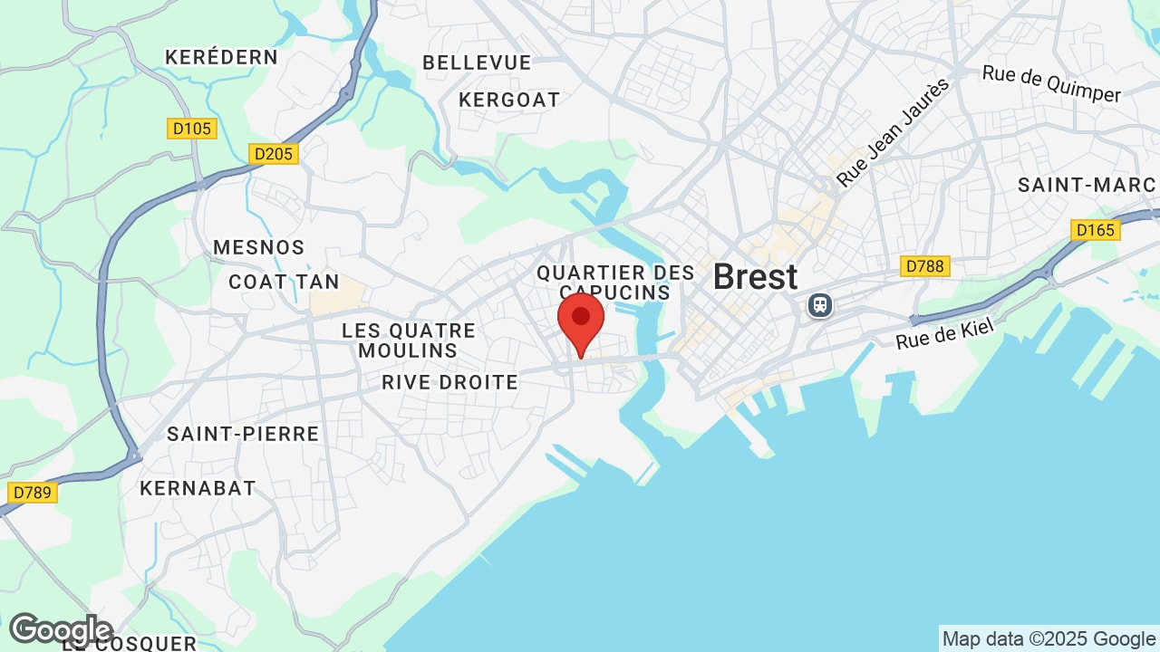 Google map