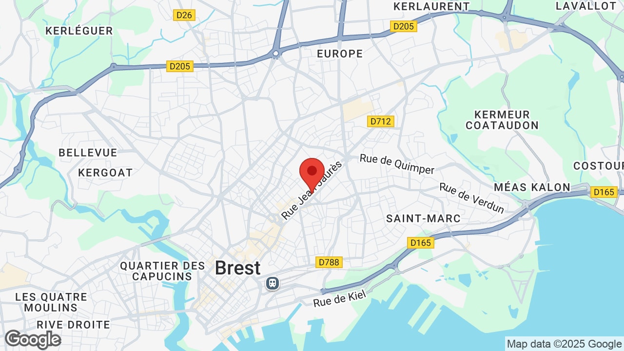 Google map