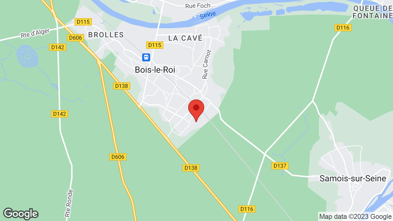 Google map