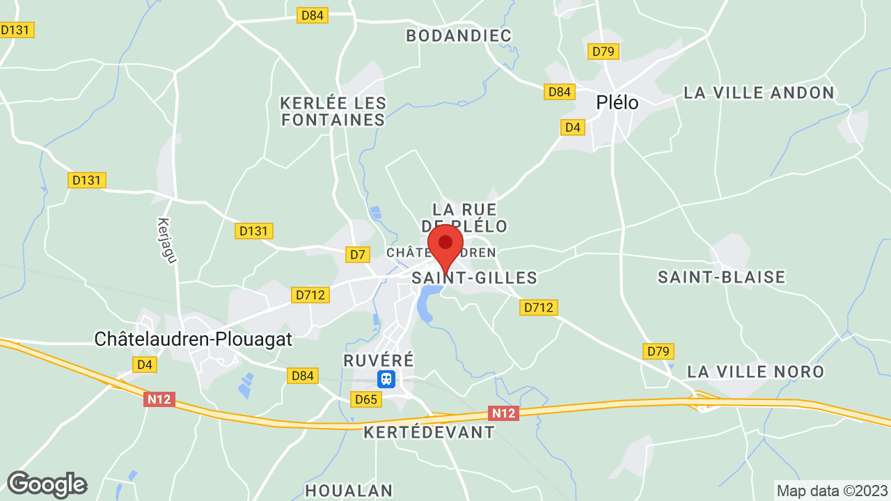Google map