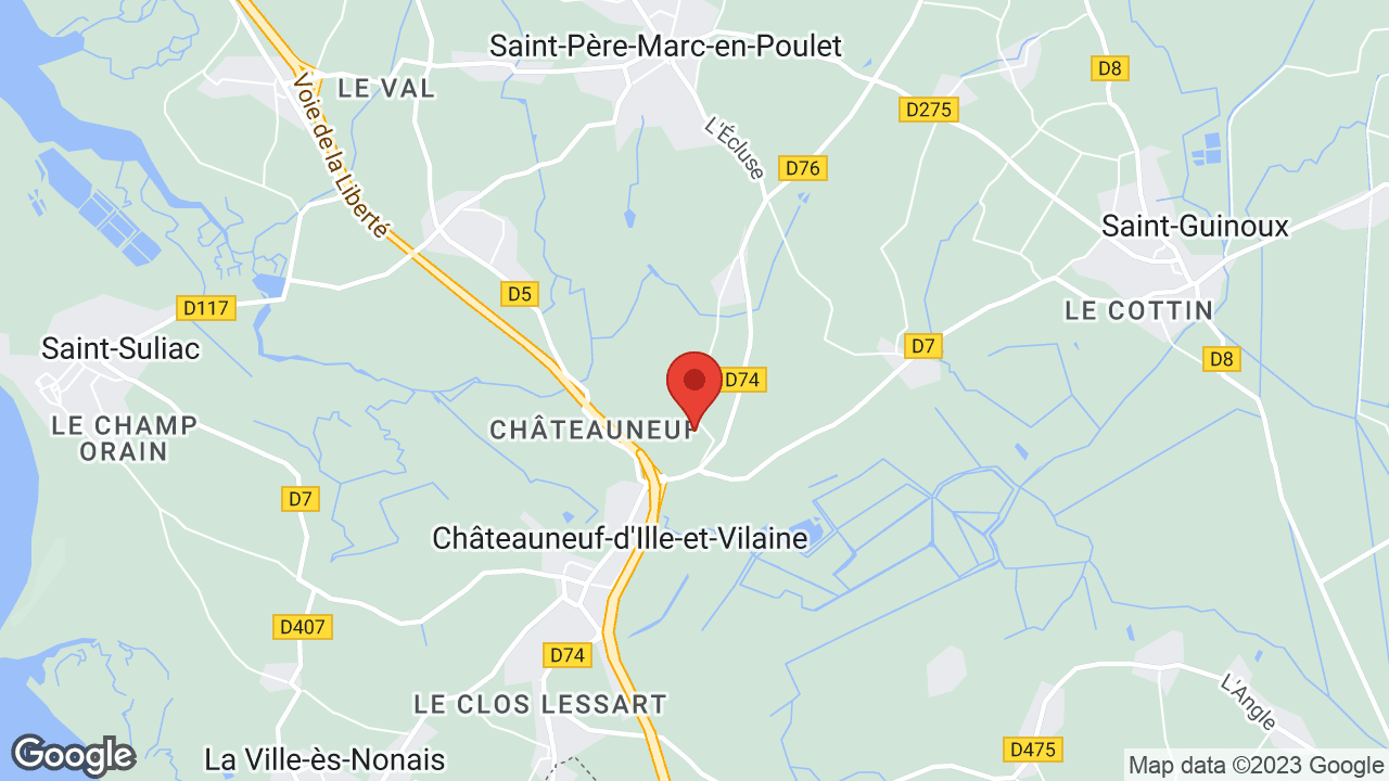 Google map