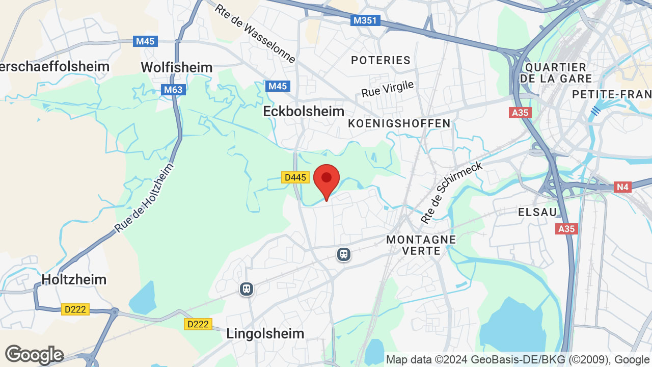 Google map