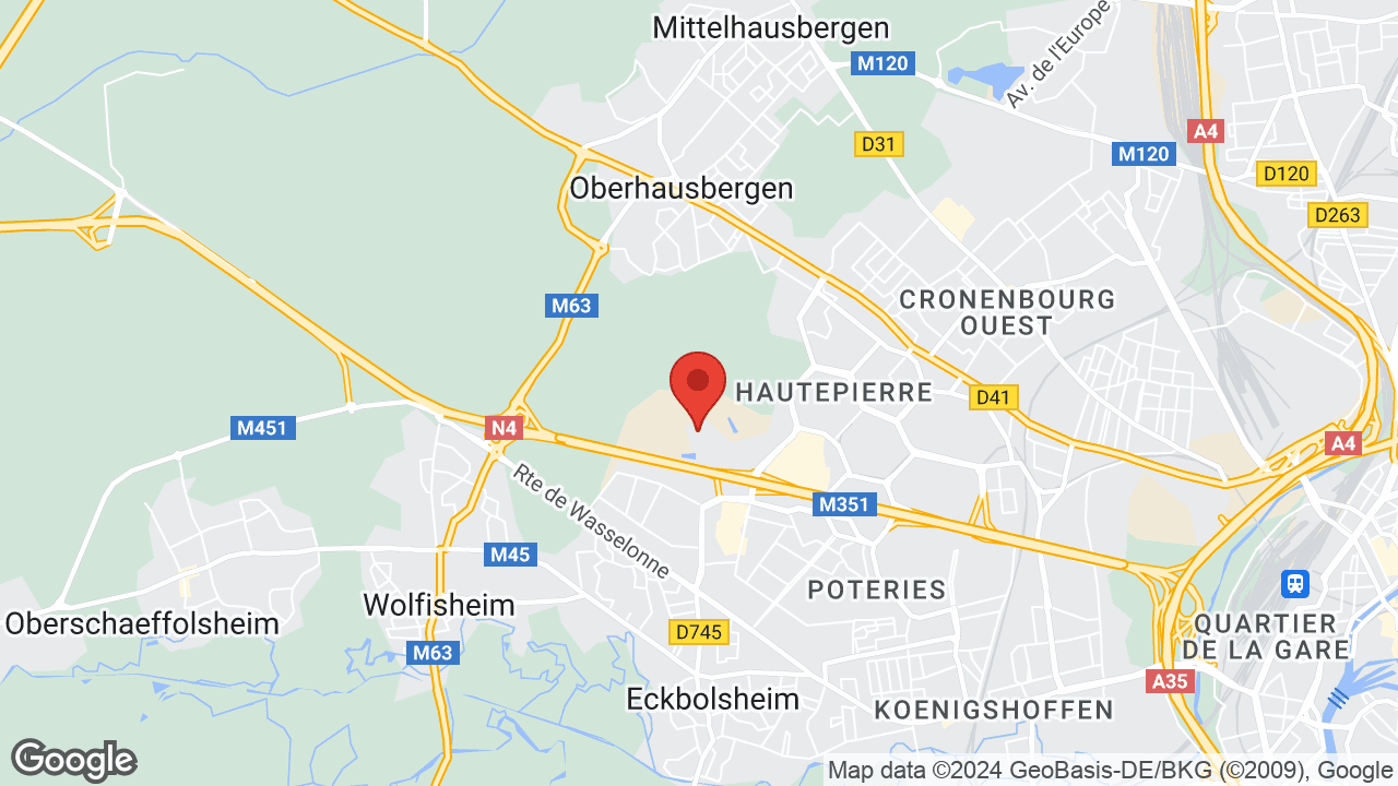 Google map