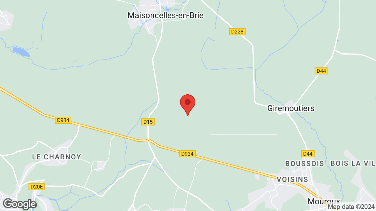 Google map
