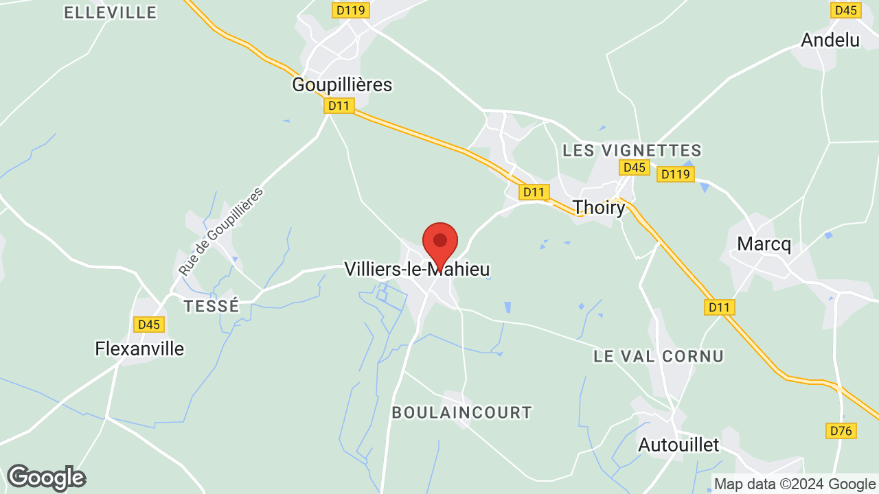 Google map