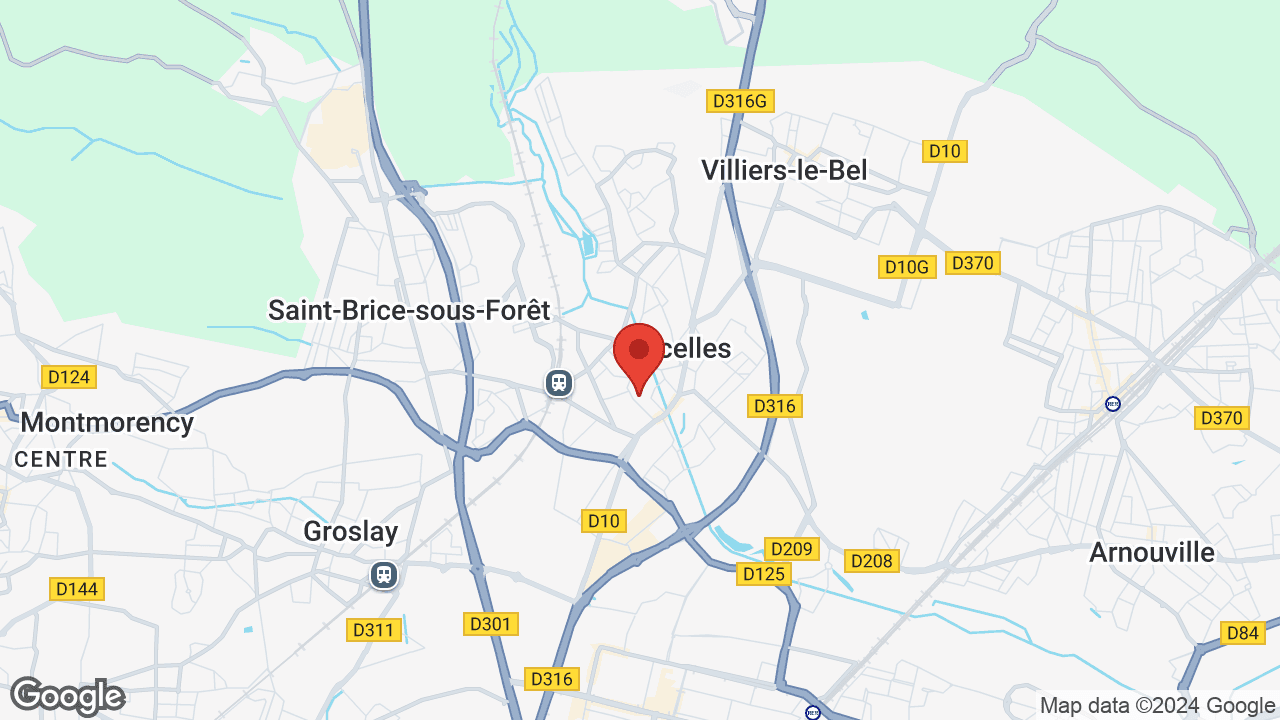 Google map