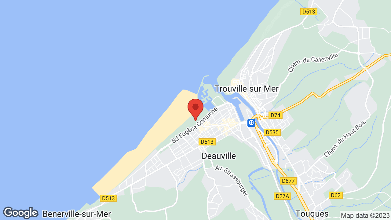 Google map