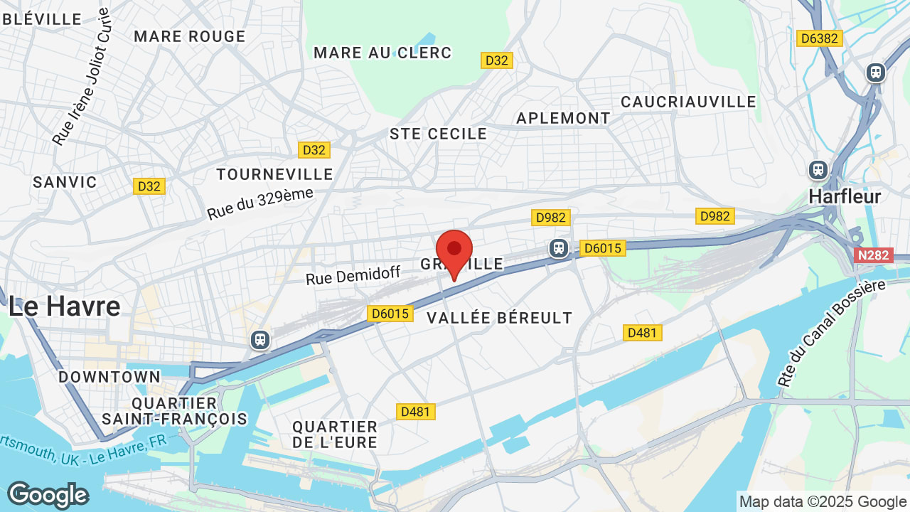 Google map