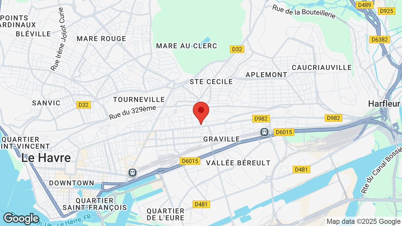 Google map