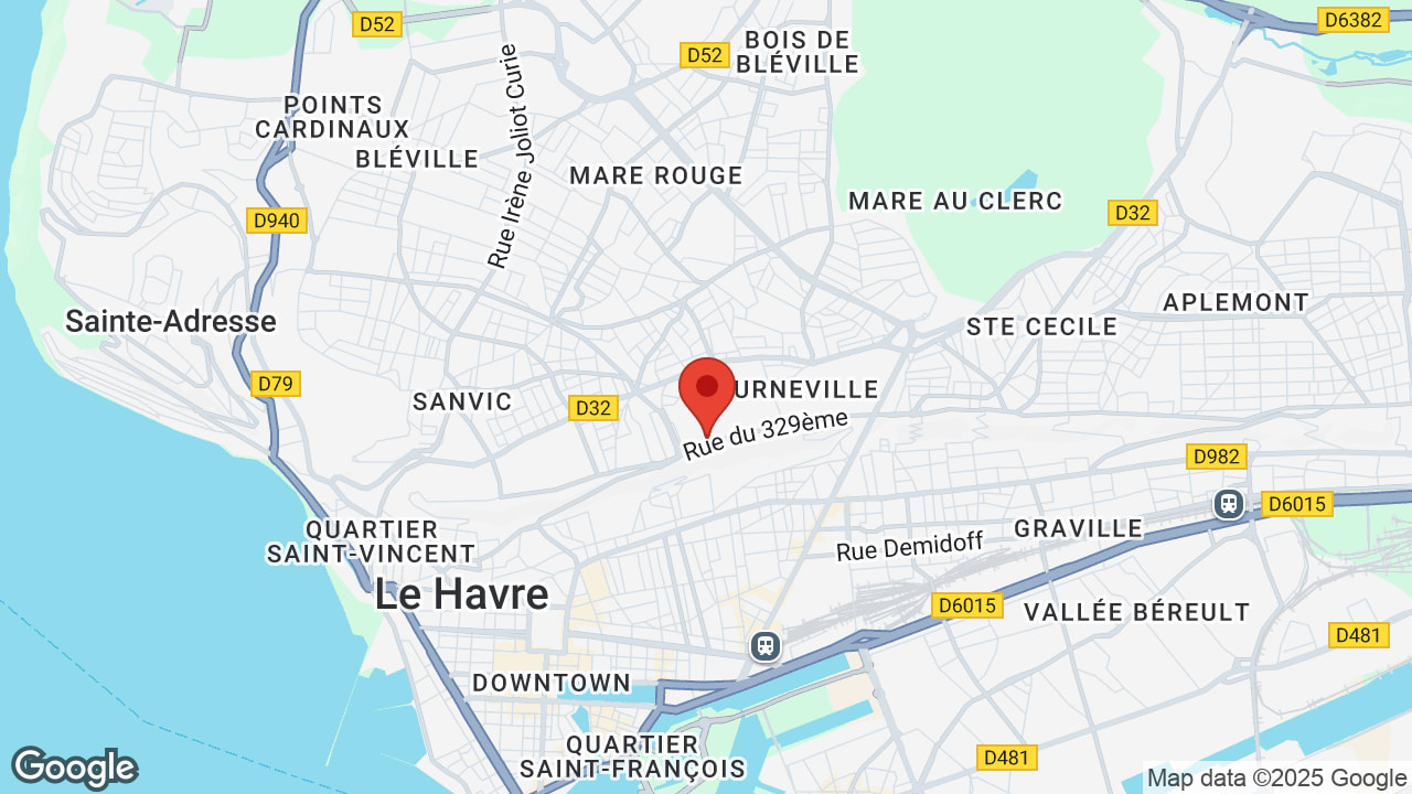 Google map
