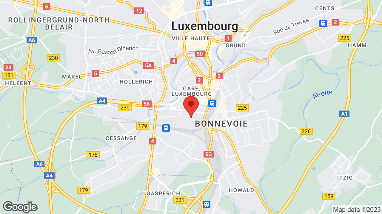 Google map