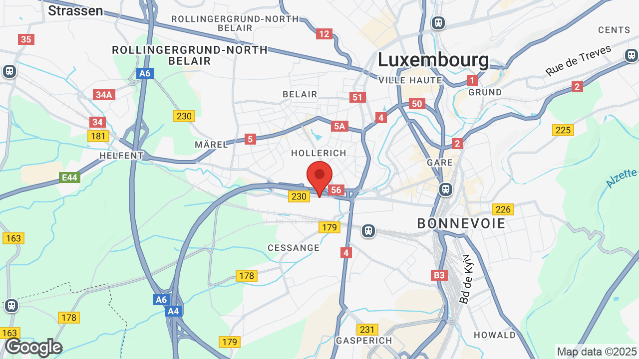 Google map