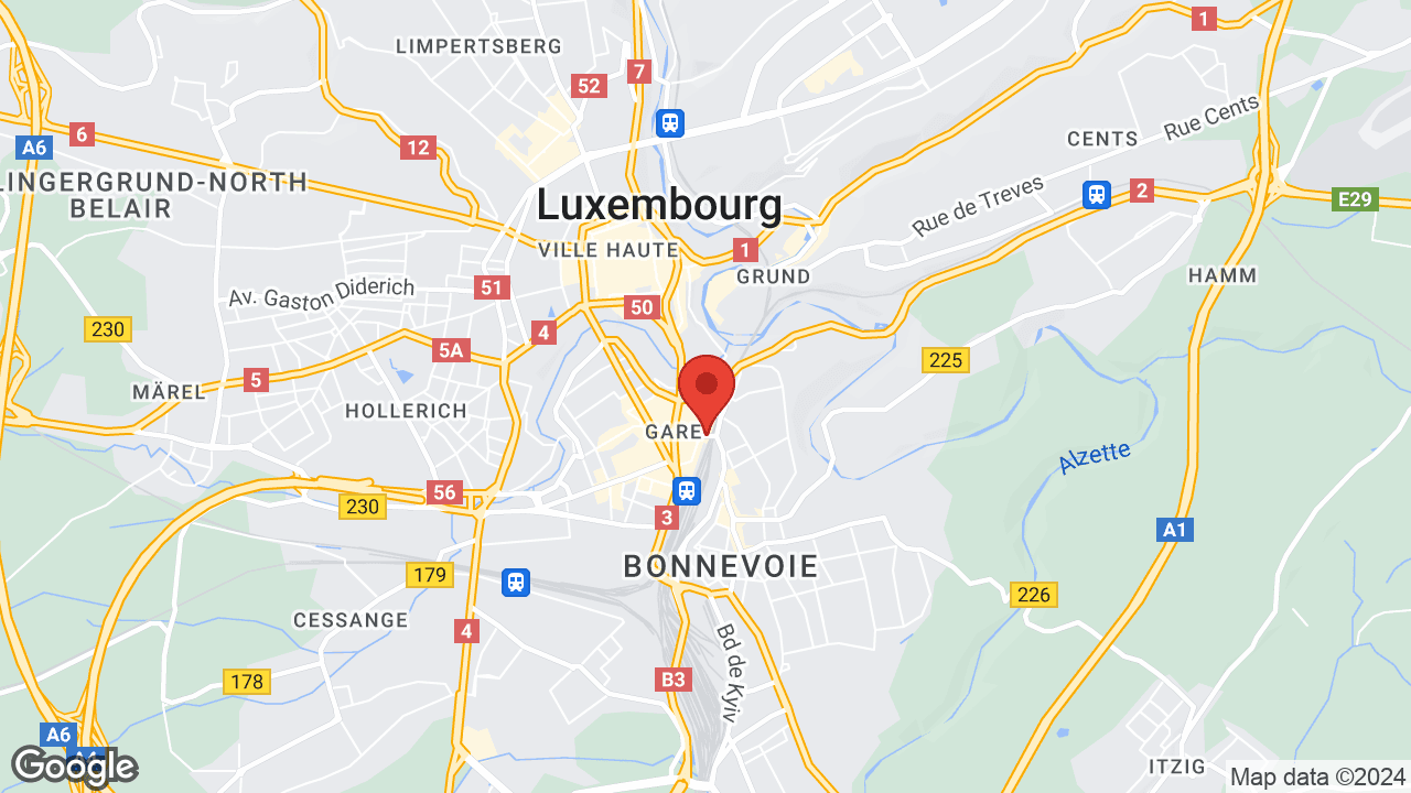 Google map
