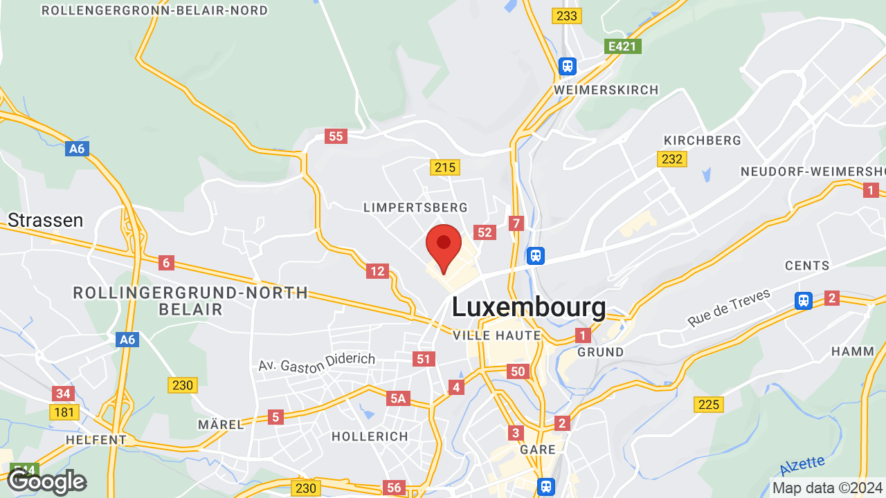Google map