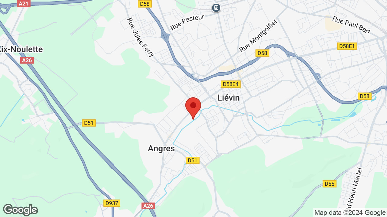Google map