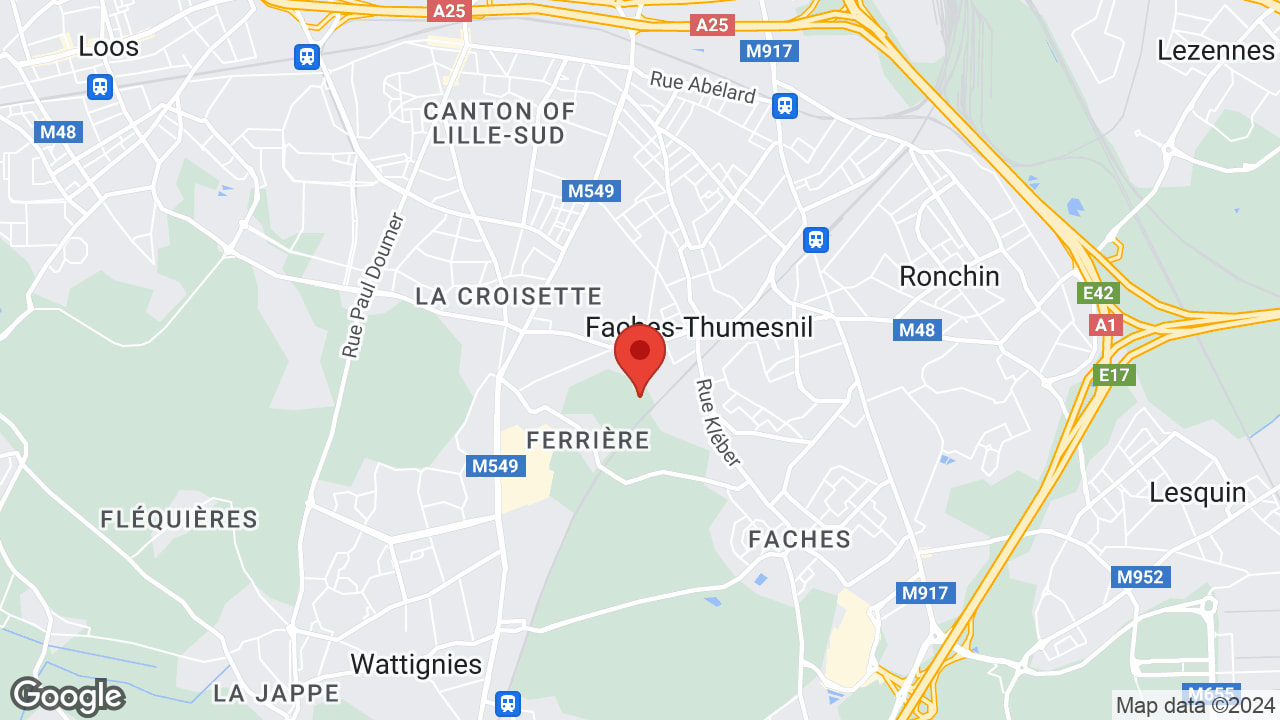 Google map