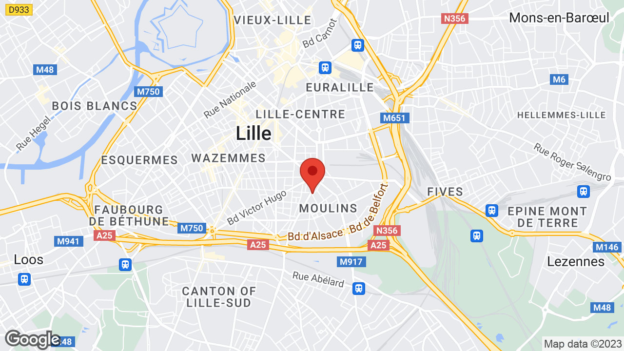 Google map