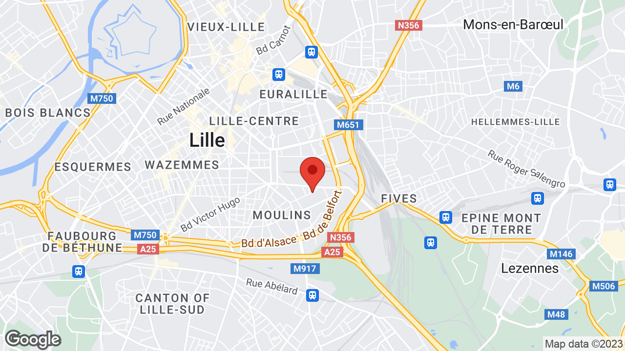 Google map