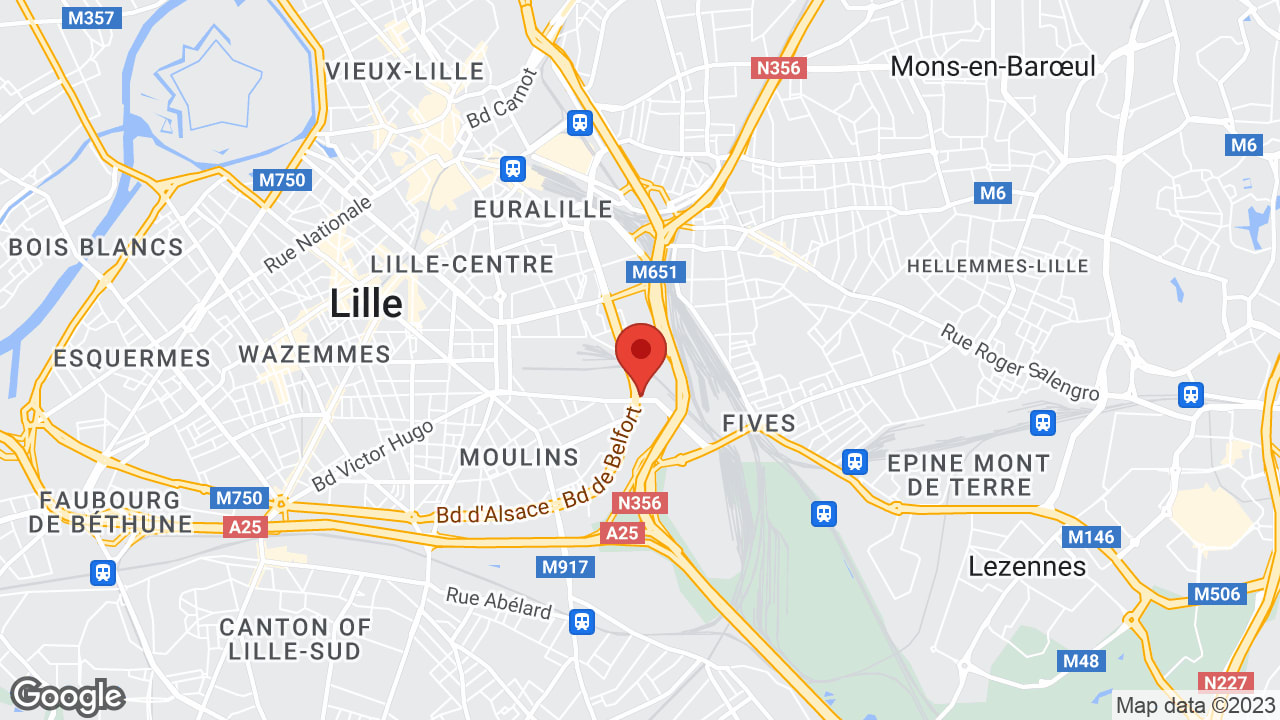 Google map
