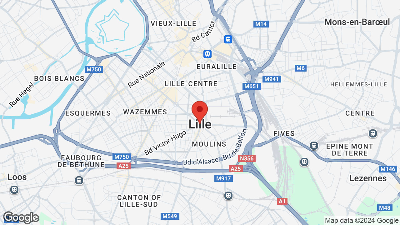 Google map