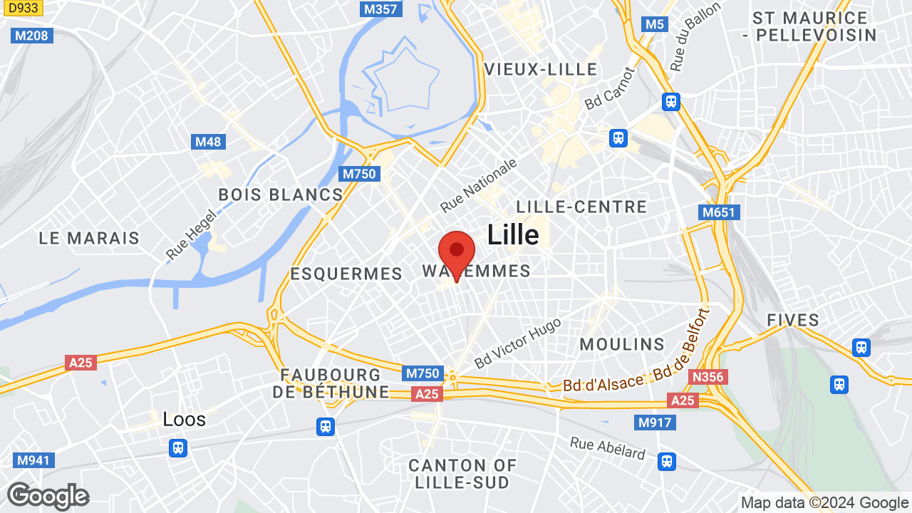 Google map