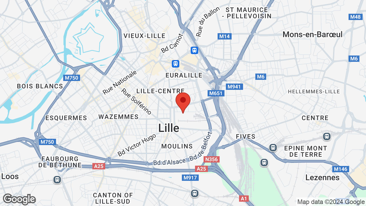Google map