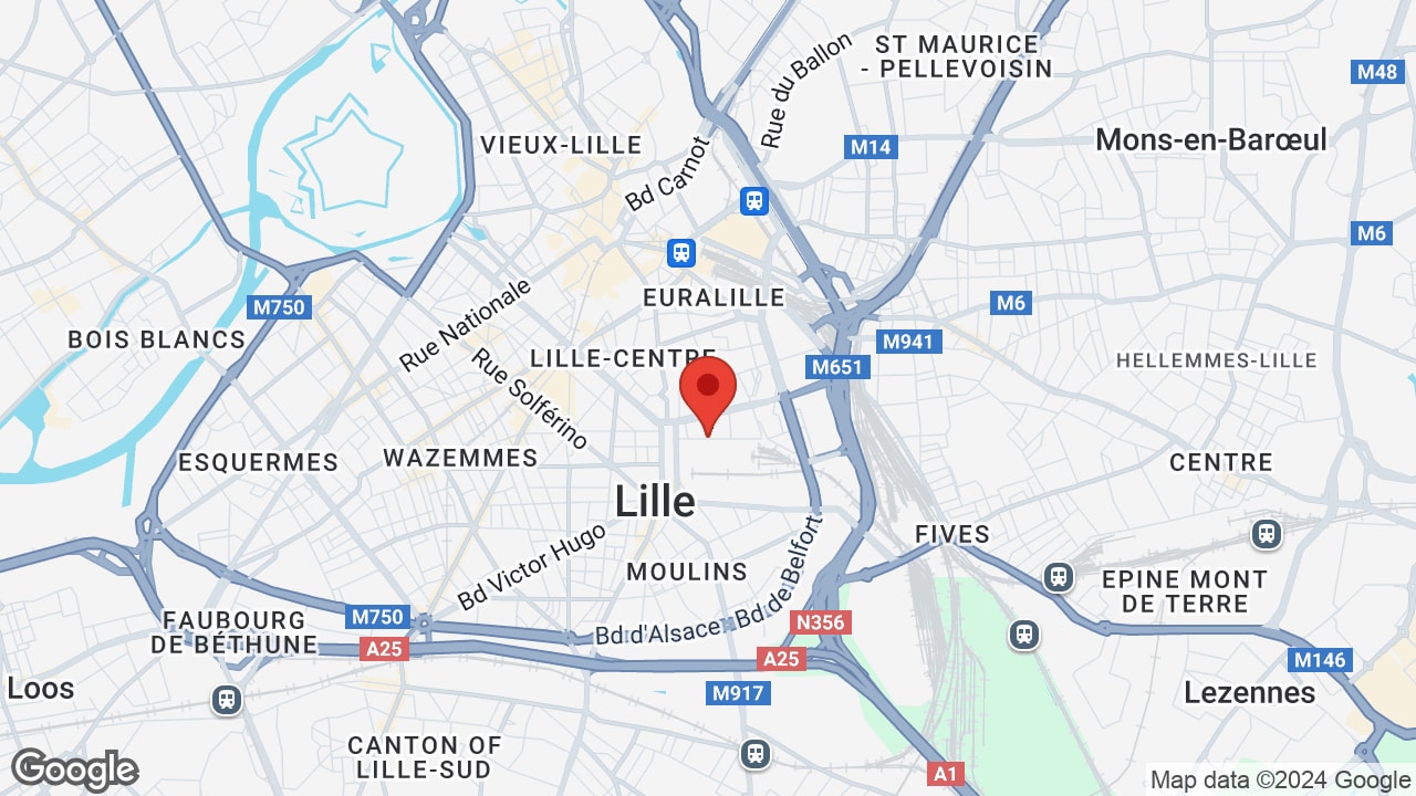 Google map