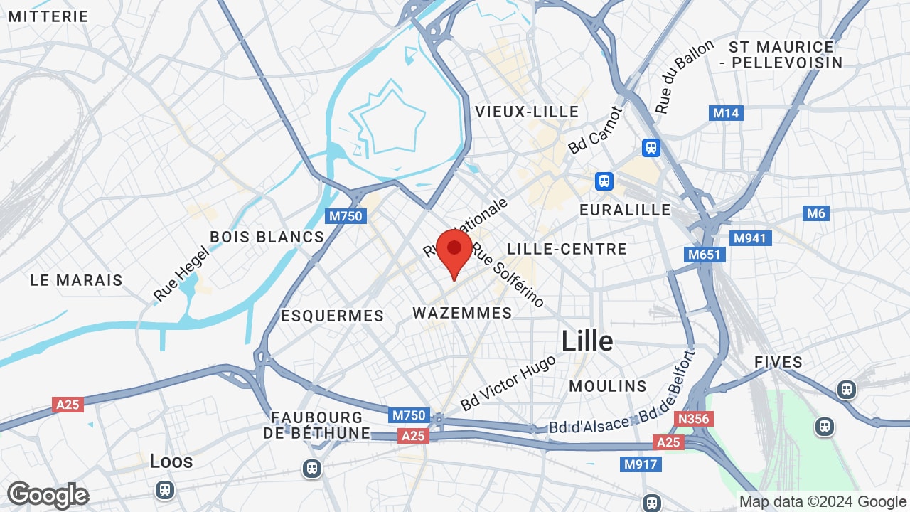 Google map