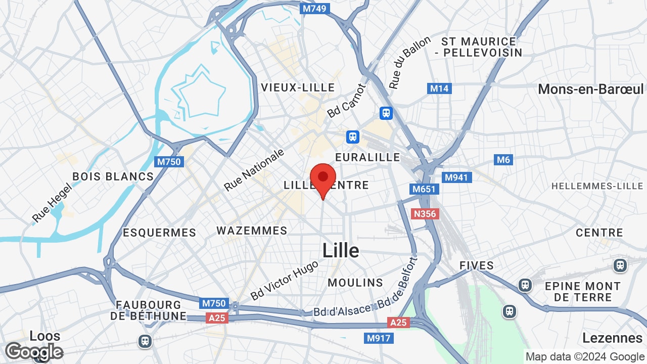 Google map