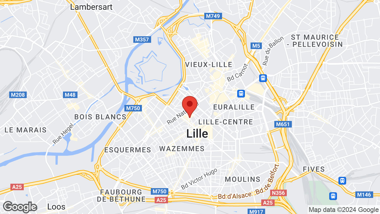 Google map