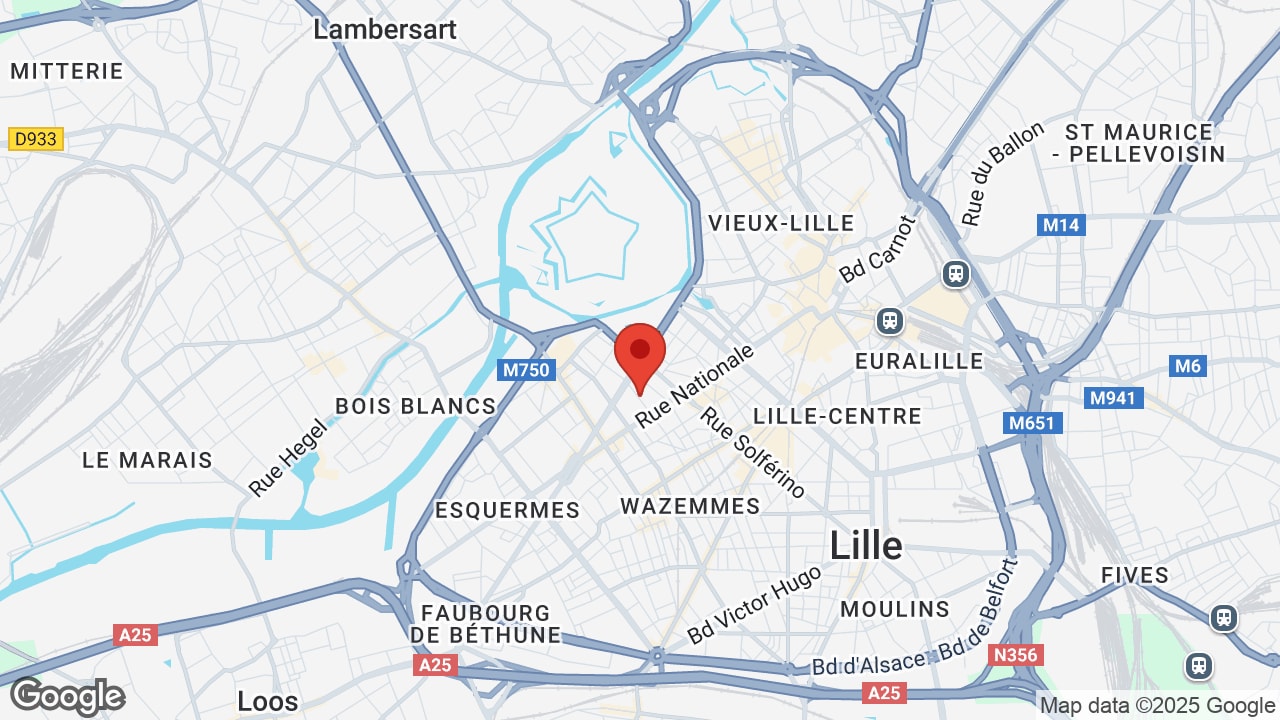 Google map