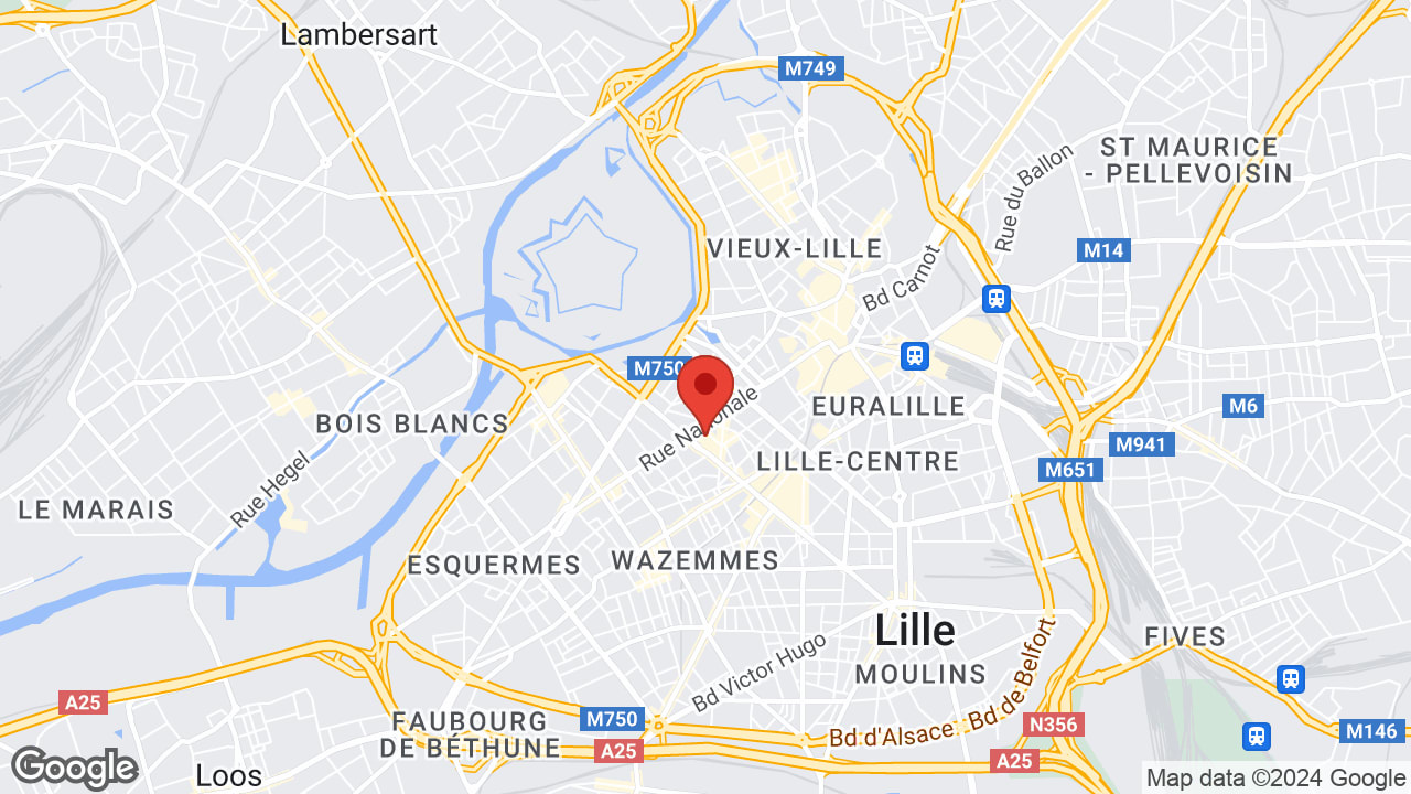 Google map