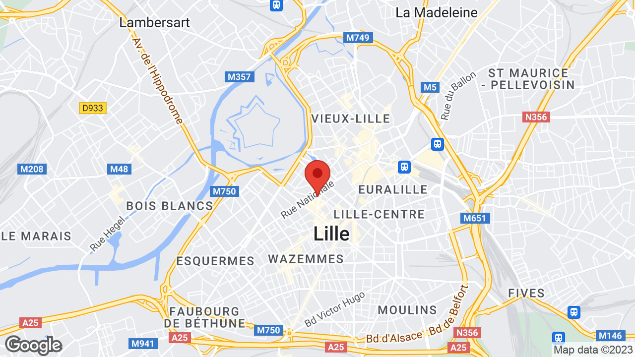 Google map