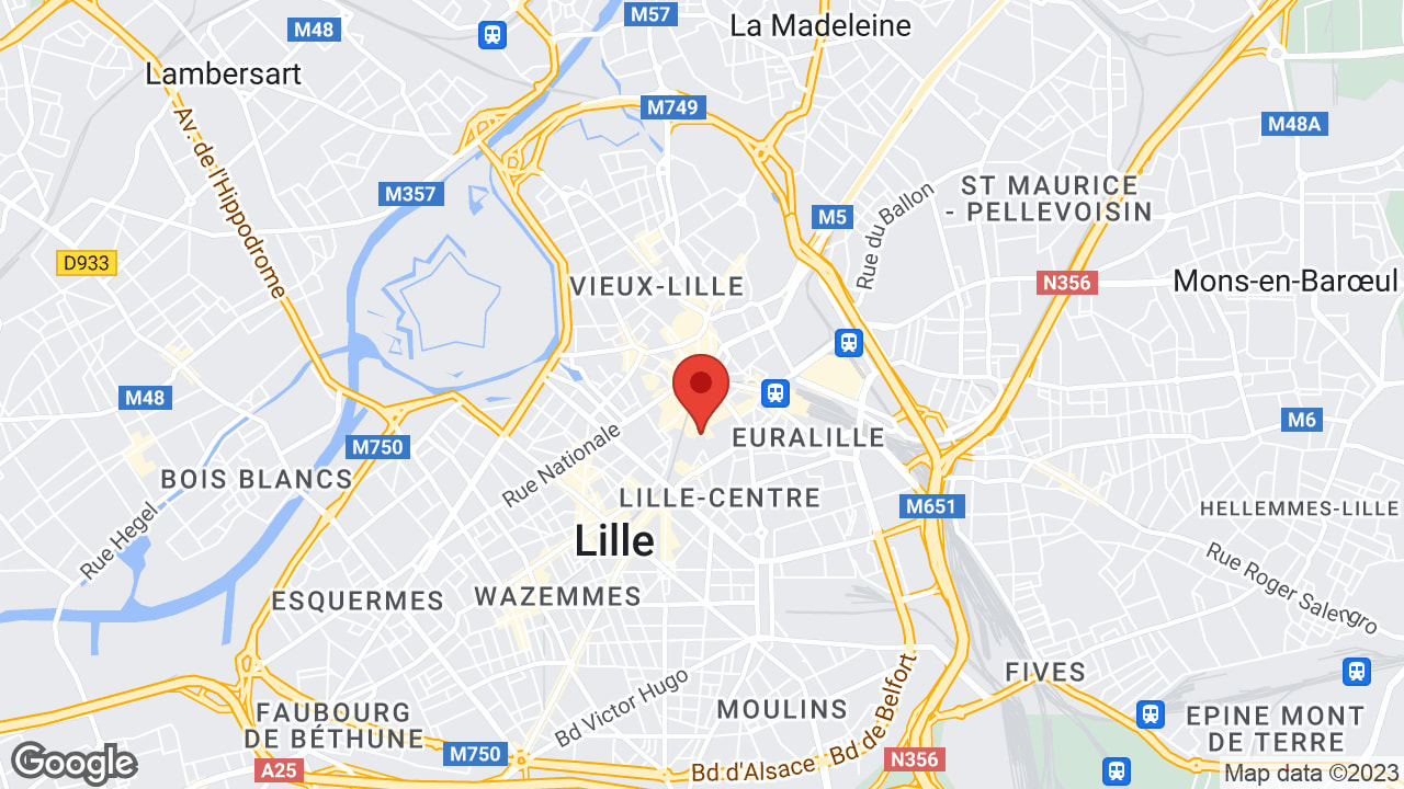 Google map