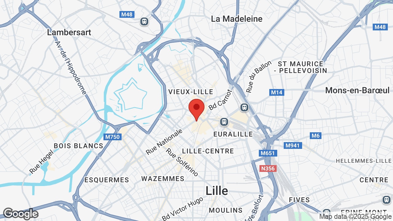 Google map