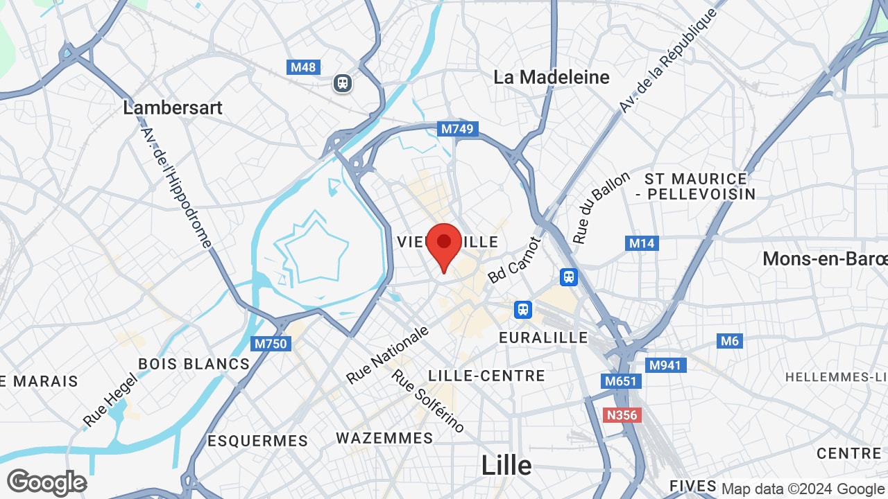 Google map
