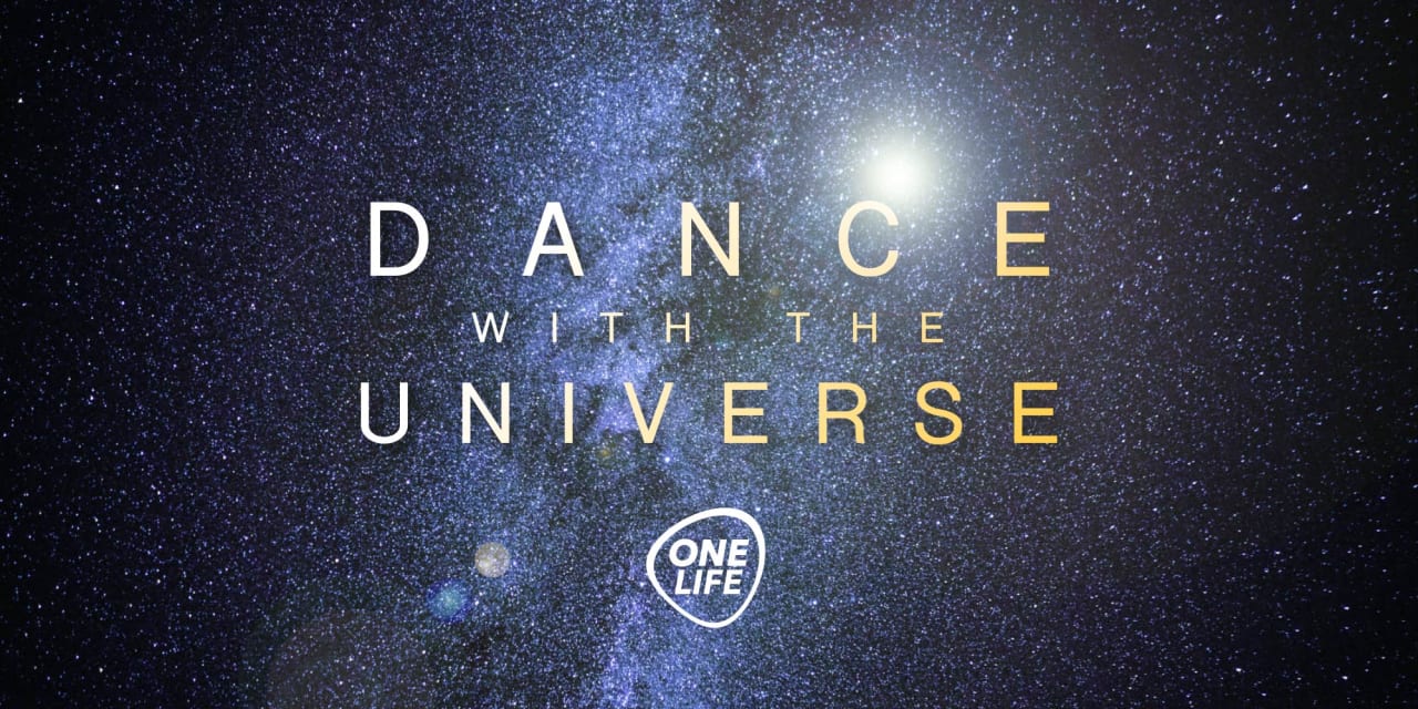 One Life Party - Dance With The Universe