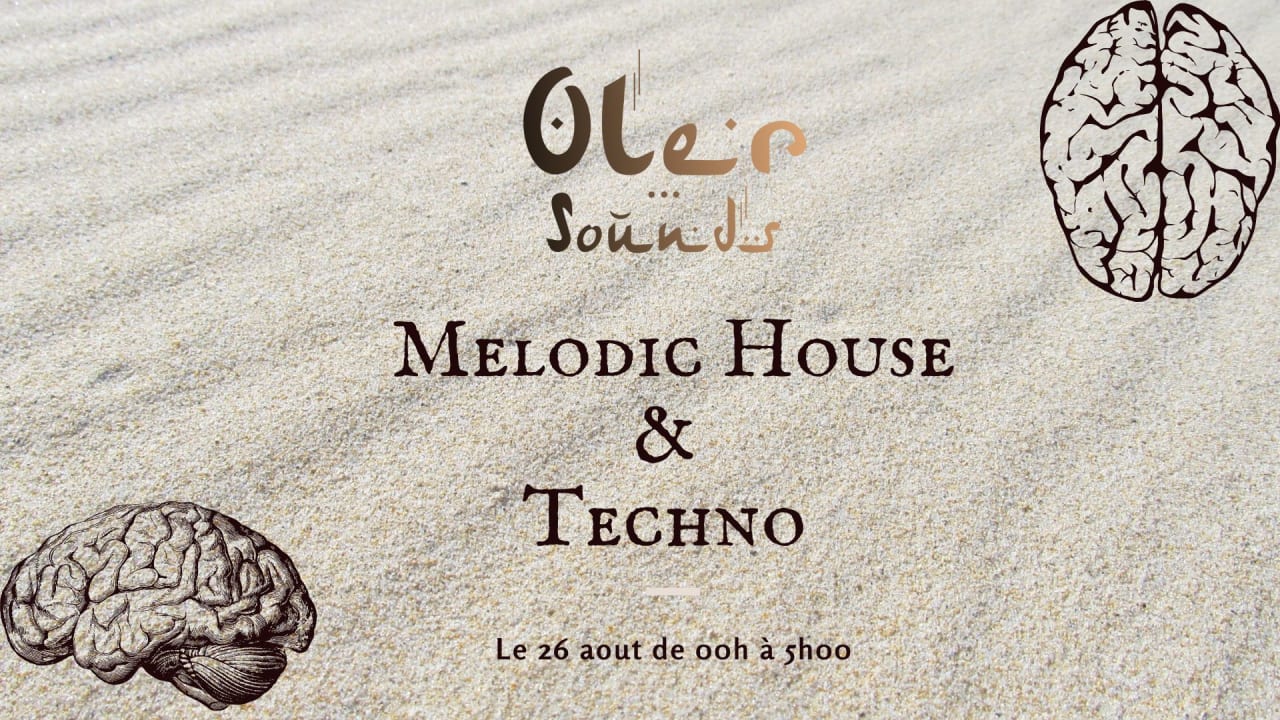 Melodic House & Techno #3