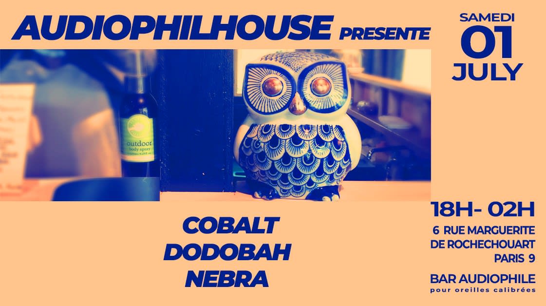 AudiophilHouse reçoit Cobalt, Dodobah & Nebra