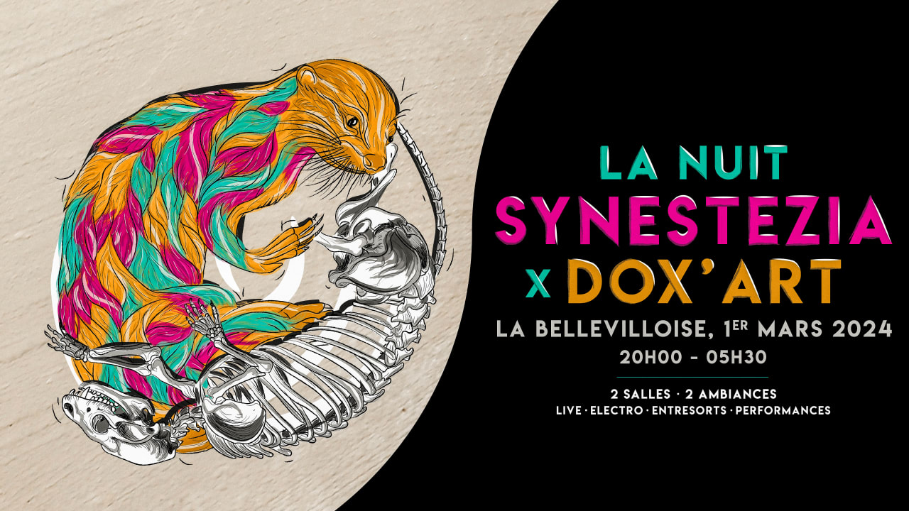 Synestezia x Dox'art