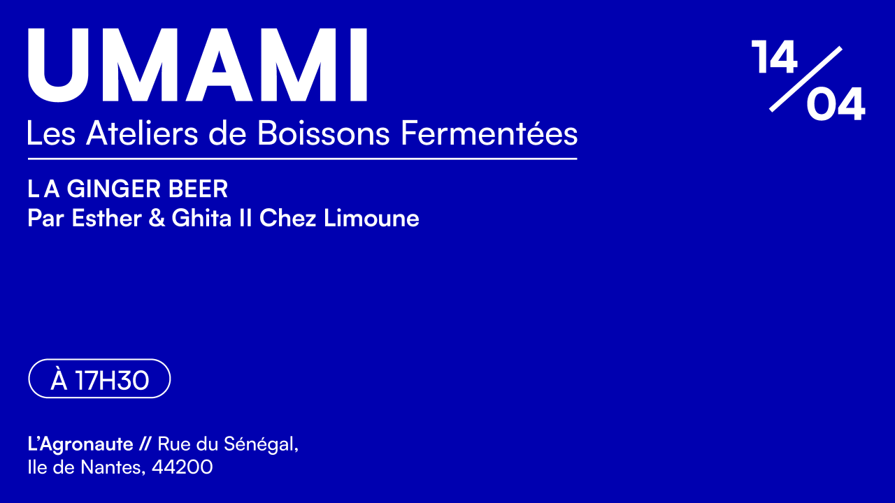 UMAMI #3 // Atelier de boisson fermentée : LA GINGER BEER