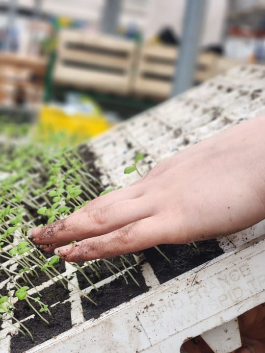 Bénévolat Mai à l'Agronaute