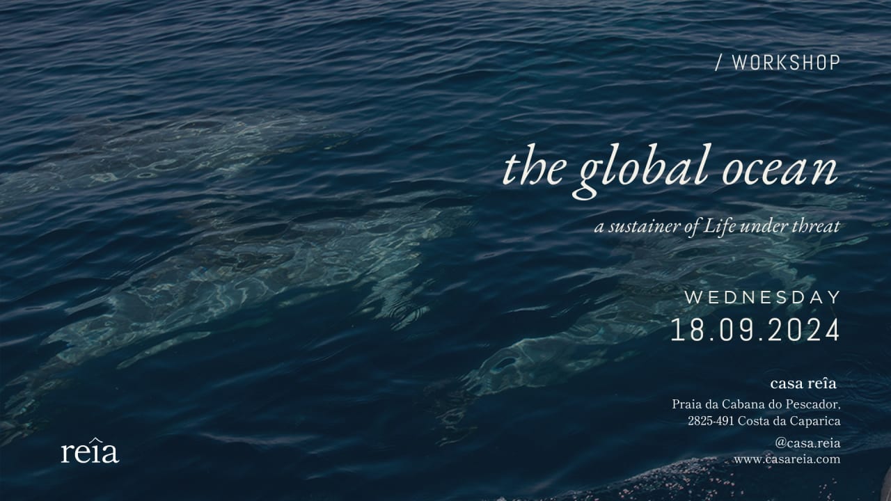 Workshop: The Global Ocean