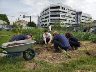 [Atelier 48h] jardin et création de bordure en saule tressé