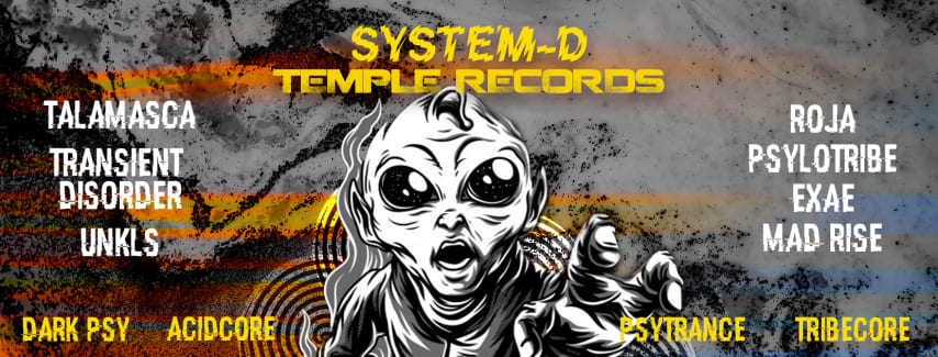 System - D x Temple Records cover