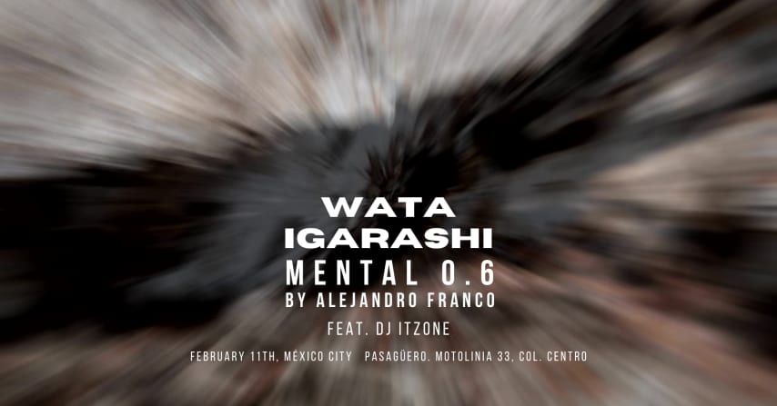 WATA IGARASHI: MENTAL 0.6 cover