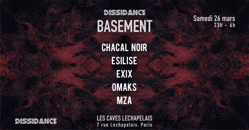 DISSIDANCE \\ Basement cover