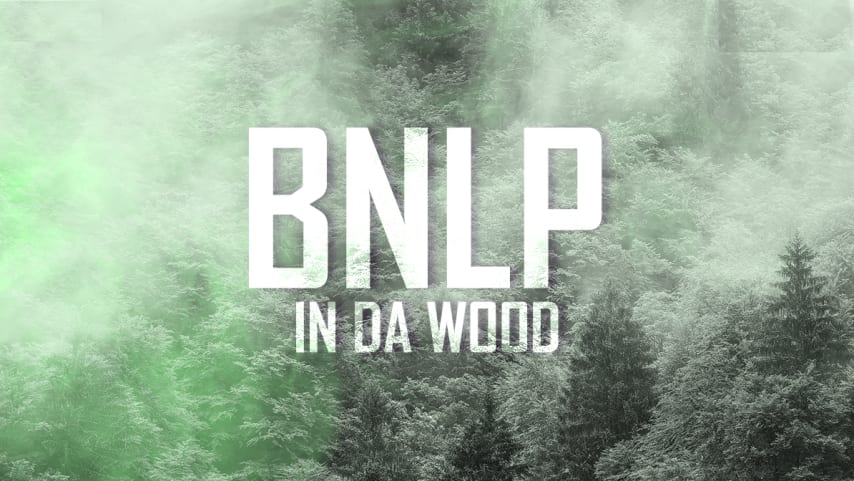 BNLP - In Da Wood (14/05/2022) cover