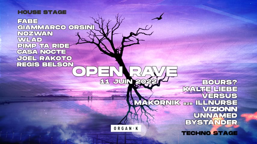 ORGANÏK : OPEN RAVE cover