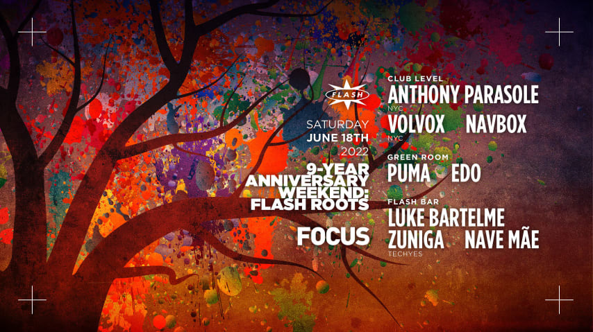 9 Year Anniversary Weekend: FOCUS: Anthony Parasole - Volvox - Navbox cover